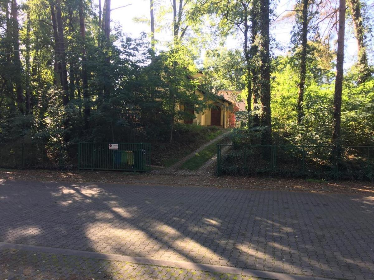 Zolty Domek Nad Jeziorem Lubniewice Exteriör bild